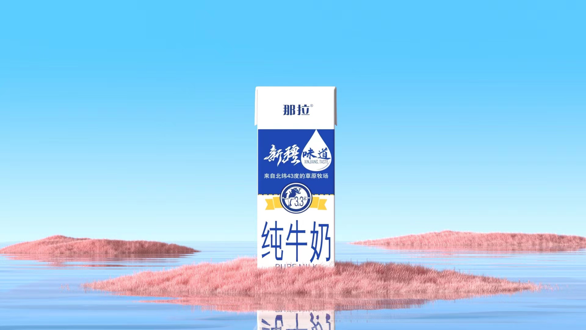 【上新了！】新品快來看看吧！